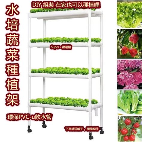 水耕容器diy|DIY水耕種植教學